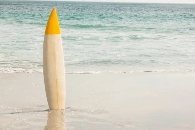 Comment choisir votre planche de surf ?